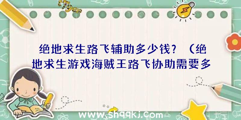 绝地求生路飞辅助多少钱？（绝地求生游戏海贼王路飞协助需要多少钱）